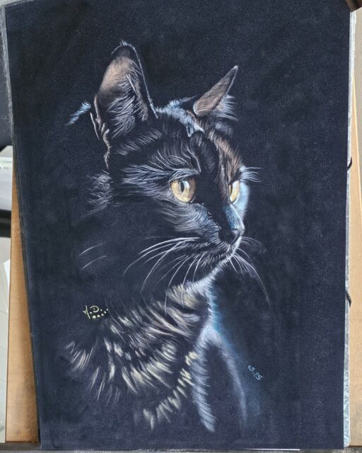 Petit chat noir au pastel sec sur feuille velours .