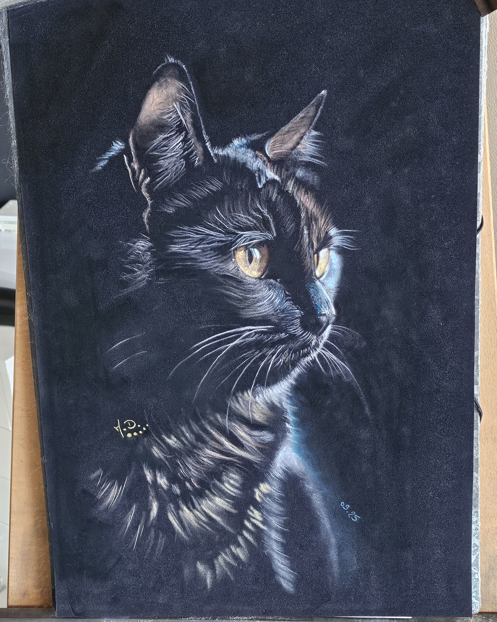 Petit chat noir au pastel sec sur feuille velours .