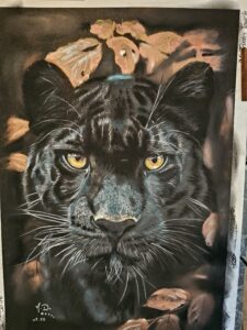 Dessin à la demande Pau